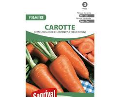 Demi-Longue de Chantenay